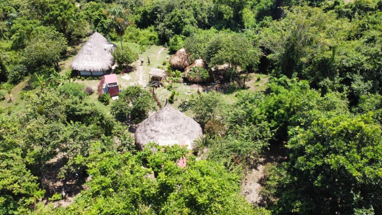 Zirumake Dentro Del Parque Tayrona
