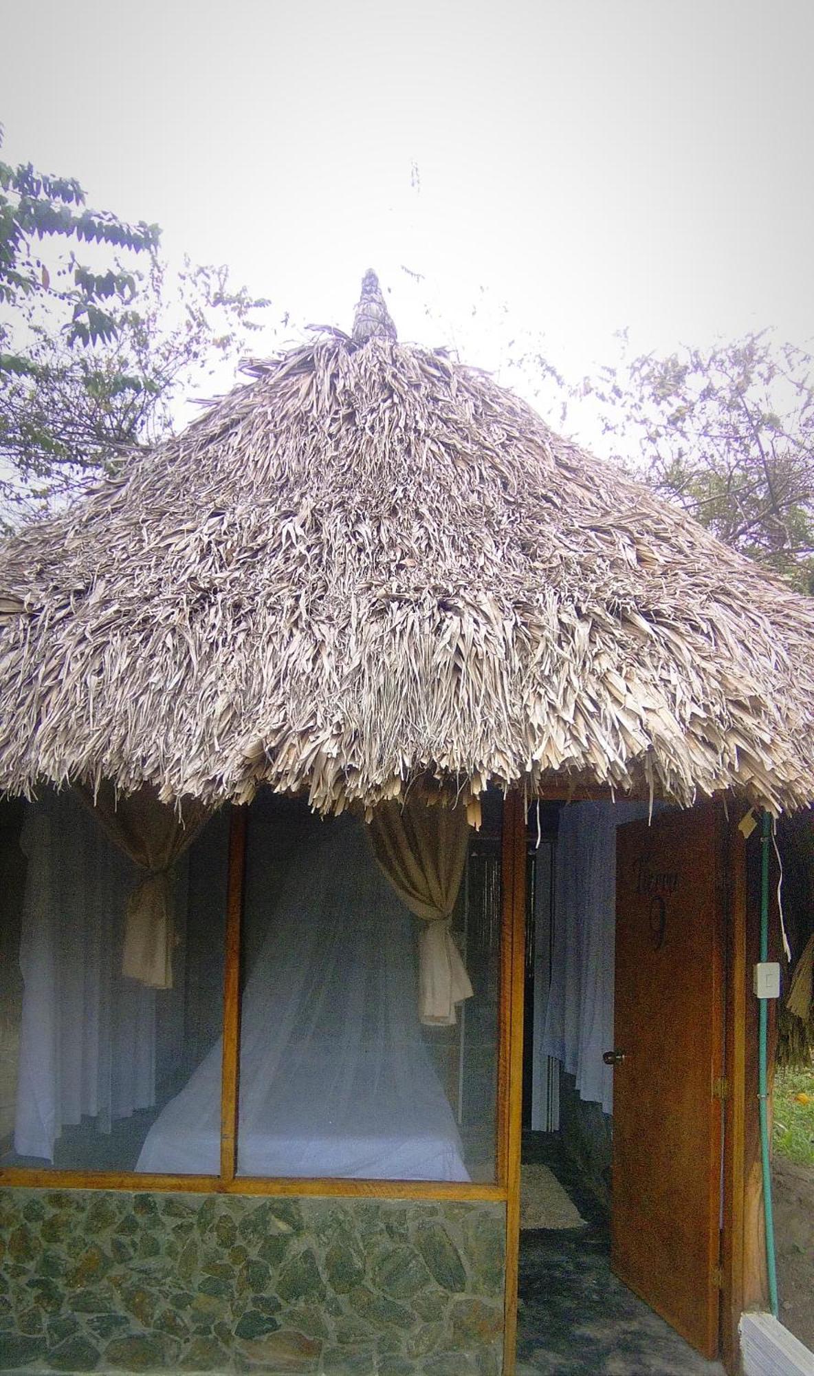 Zirumake Dentro Del Parque Tayrona *