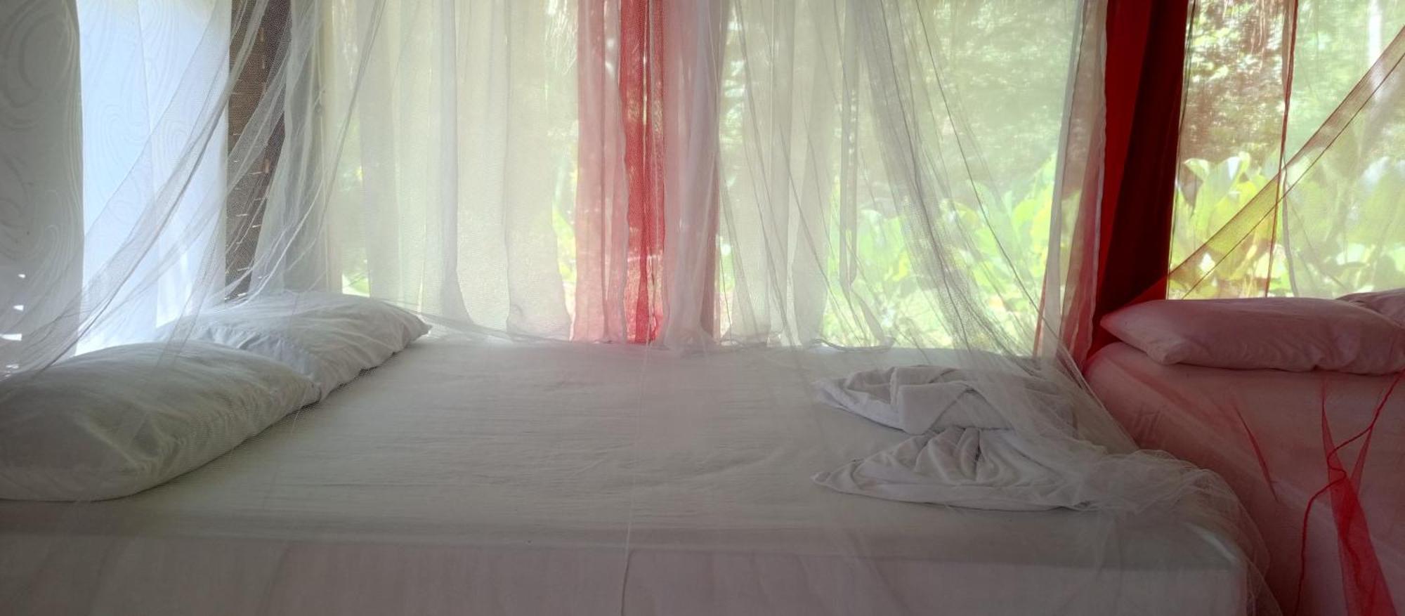 Zirumake Dentro Del Parque Tayrona Hostel