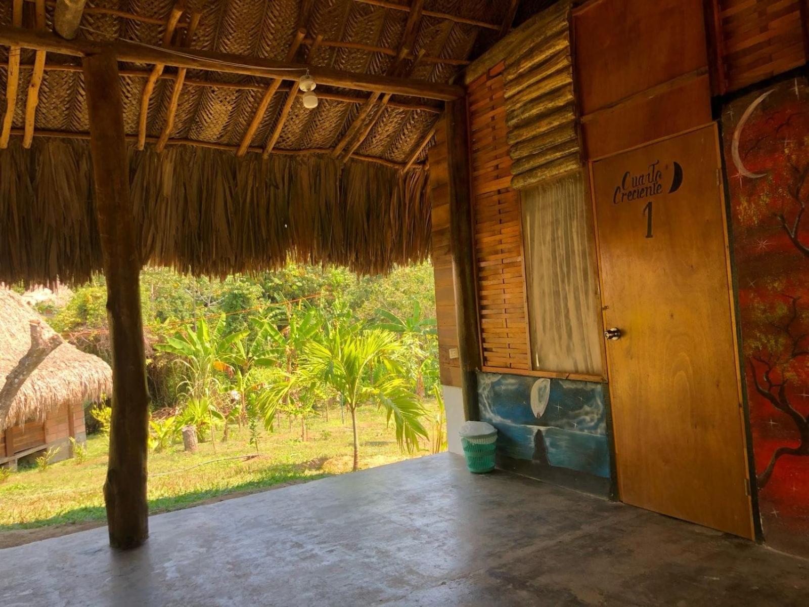 Zirumake Dentro Del Parque Tayrona *